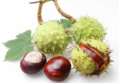 A gesztenye gyümölcse számos értékes vitaminban és mikroelemben gazdag, amelyek jótékony hatással vannak a prosztatára.